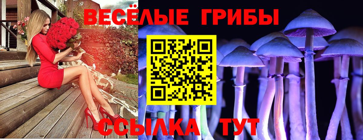Псилоцибиновые грибы Cubensis  Вход с VPN  Выборг  Галлюциногенные грибы ЛСД 