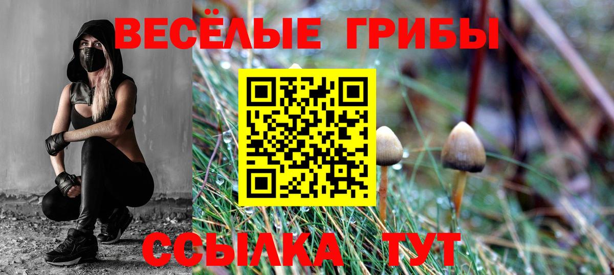 Псилоцибиновые грибы мухоморы Выборг